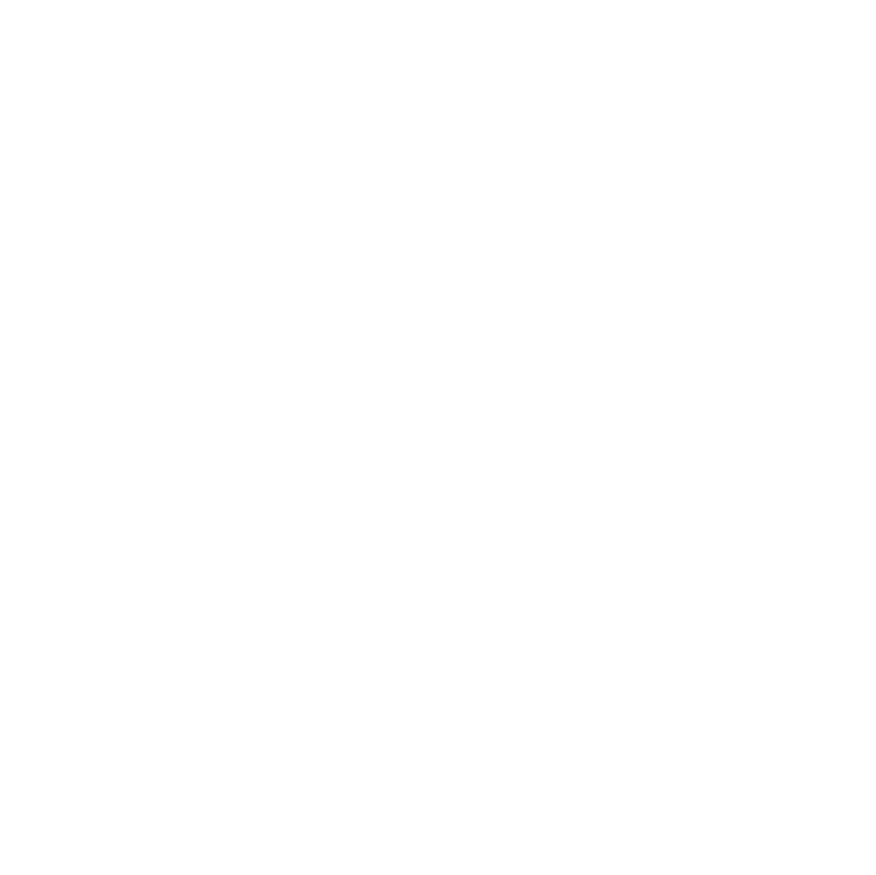 Delivery Shipping icon